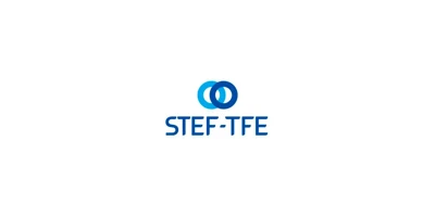 Logo STEF-TFE
